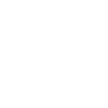 Every Income logo