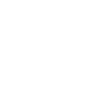 Openlane logo