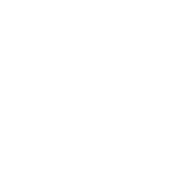 Priority Pediatrics logo